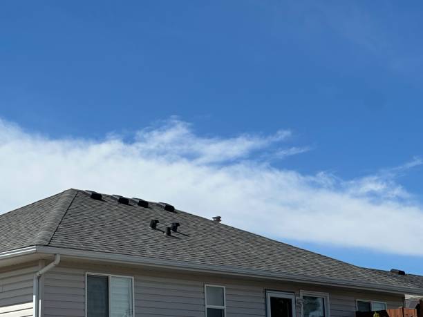 Best Steel Roofing  in Madison, SD
